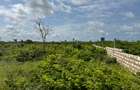 Land in Watamu - 18