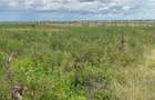 Commercial Land at Kitengera - 2
