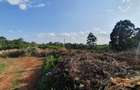 1.25 ac Land in Nyari - 6