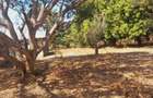 3 ac Land in Malindi - 1