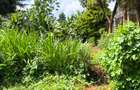 1 ac Land at Muchatha - 3