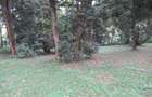 4 ac Land at Mushroom Gardens - 14
