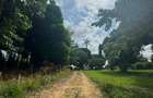 1.3 ac Residential Land at Kanamai - 3