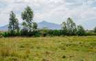 Residential Land in Naivasha - 4
