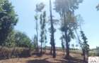 15 ac Land at Touching Nanyuki River - 5