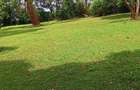 0.5 ac Residential Land at Kirawa Rd - 4