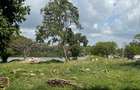 7 ac Commercial Land at Shanzu Beach - Overlooking Mtwapa Creek - 10