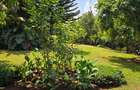 4 Bed Townhouse with En Suite in Runda - 5