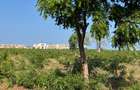 5 ac Land at Utalii -Campus - Vipingo - 7