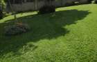 5 Bed House with En Suite in Kitisuru - 16