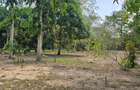 6 ac Land at Mtwapa - 13