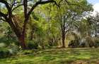 Residential Land at Mokoyot Close - 3