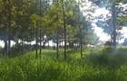 1.2 ac Land in Ngong - 7