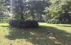 Residential Land in Kitisuru - 4