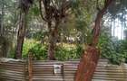 0.125 m² Residential Land at Maasai Lodge Road - 1