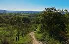 Land at Kwale - 10