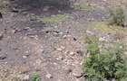 0.1012 ha Residential Land in Syokimau - 1