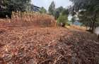 0.25 ac Land in Nyeri - 5