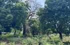 8,093.72 m² Land at Diani 3Rd Row Beach - 11