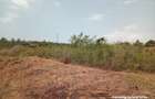 2.41 ac Land at Makonde Rd - 12