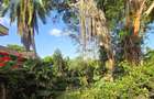 3 Bed House with Garden at Spring Valley - 2