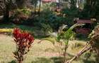 4 Bed House with En Suite at Old Muthaiga - 12