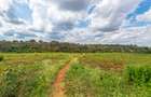 0.25 ac Residential Land at Njathaini Road - 5