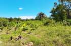 Land at Msambweni - 14
