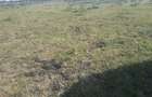 4 ac Land in Ongata Rongai - 10
