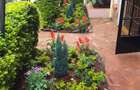 4 Bed Villa with En Suite in Lavington - 6