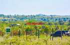 0.05 ha Residential Land at Naromoru - 1
