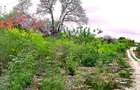 2,010 m² Residential Land at Second Row Kuruwitu Beach - 2