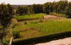 1 ac Land in Karen - 3
