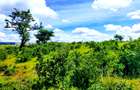 506 m² Land at Mavueni - Mariakani Bypass - 8