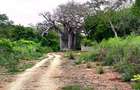 10 ac Land at Kuruwitu Vipingo - 9
