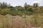 2.41 ac Land at Makonde Rd - 10