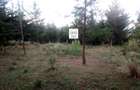 6 ac Land at Mukima Ridge - 3