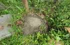 1 ac Residential Land at Karen Plains - 3