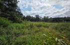 Land in Karen - 1