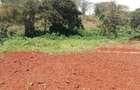 0.5 ac Residential Land at Muthithi - 6