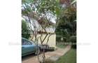16 m² Office with Parking at Wendy Court Office Park David Osieli - 5