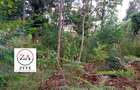 0.125 ac Land at Kasphat Estate - 17