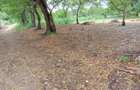 Land in Watamu - 5