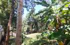 Furnished Studio Apartment with Gym in Gigiri - 7