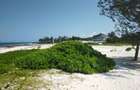 Land at Kilifi Bofa Beach - 7