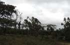 2 ac Land at Nkoroi - 10