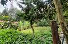 4 Bed House with En Suite in Karen - 5