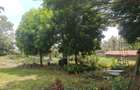 Land in Karen - 5