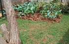 3 Bed Townhouse with En Suite in Kamakis - 7