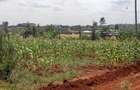 0.125 ac Residential Land at Riverside Drive - 6